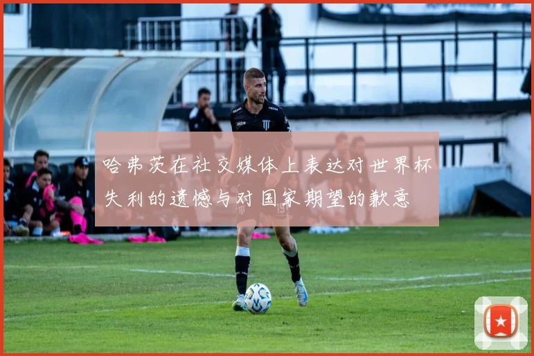 哈弗茨在社交媒体上表达对世界杯失利的遗憾与对国家期望的歉意
